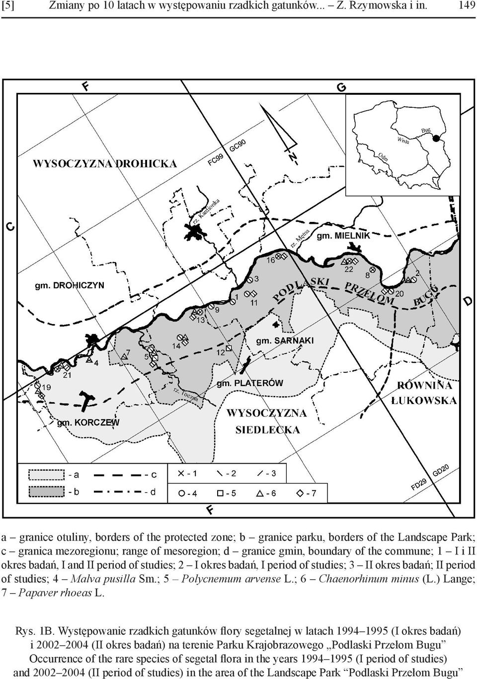 okres badań, I and II period of studies; 2 I okres badań, I period of studies; 3 II okres badań; II period of studies; 4 Malva pusilla Sm.; 5 Polycnemum arvense L.; 6 Chaenorhinum minus (L.