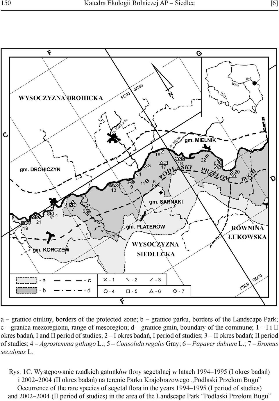 ; 5 Consolida regalis Gray; 6 Papaver dubium L.; 7 Bromus secalinus L. Rys. 1C.