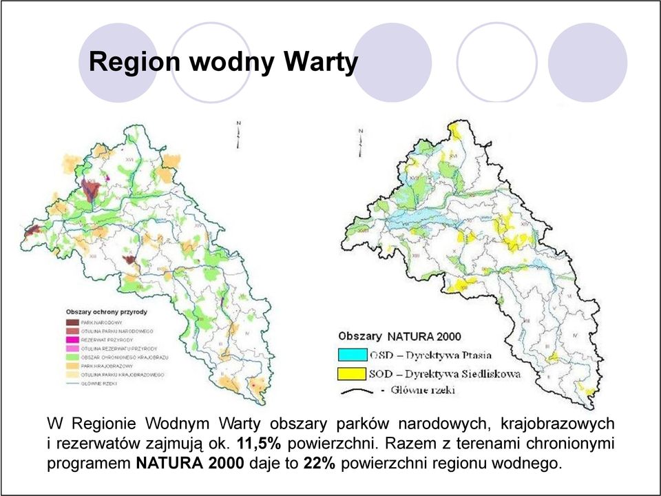 ok. 11,5% powierzchni.