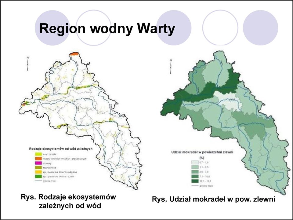 zależnych od wód Rys.