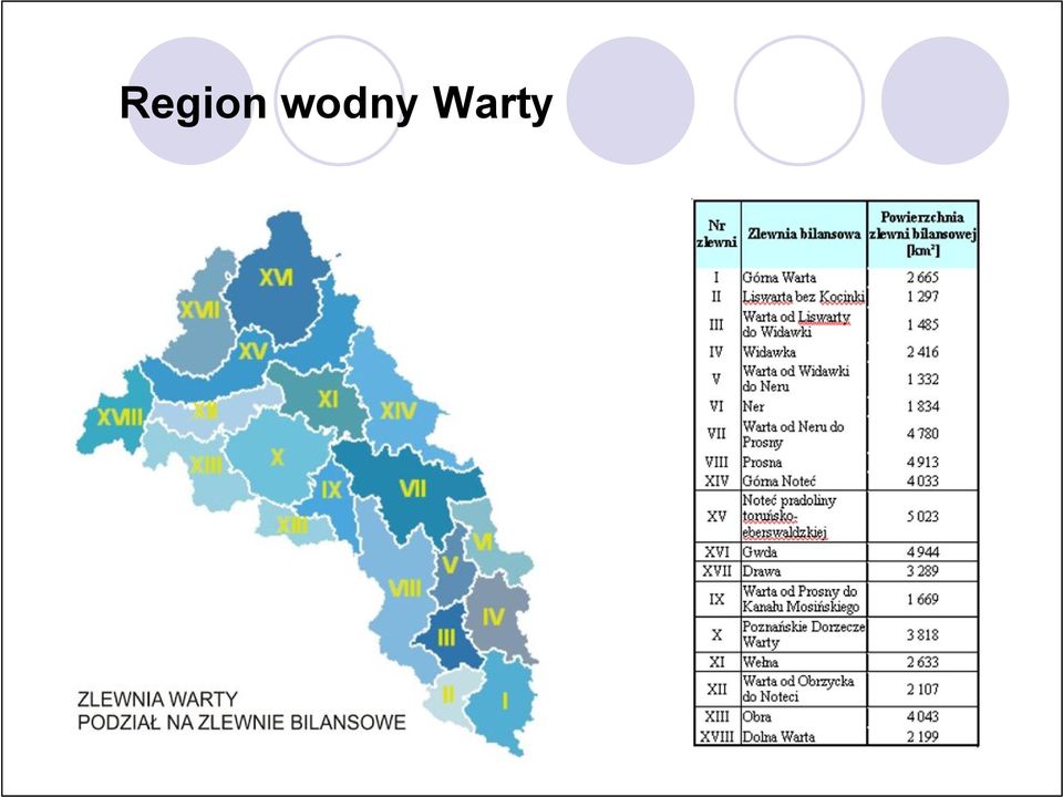 Warty