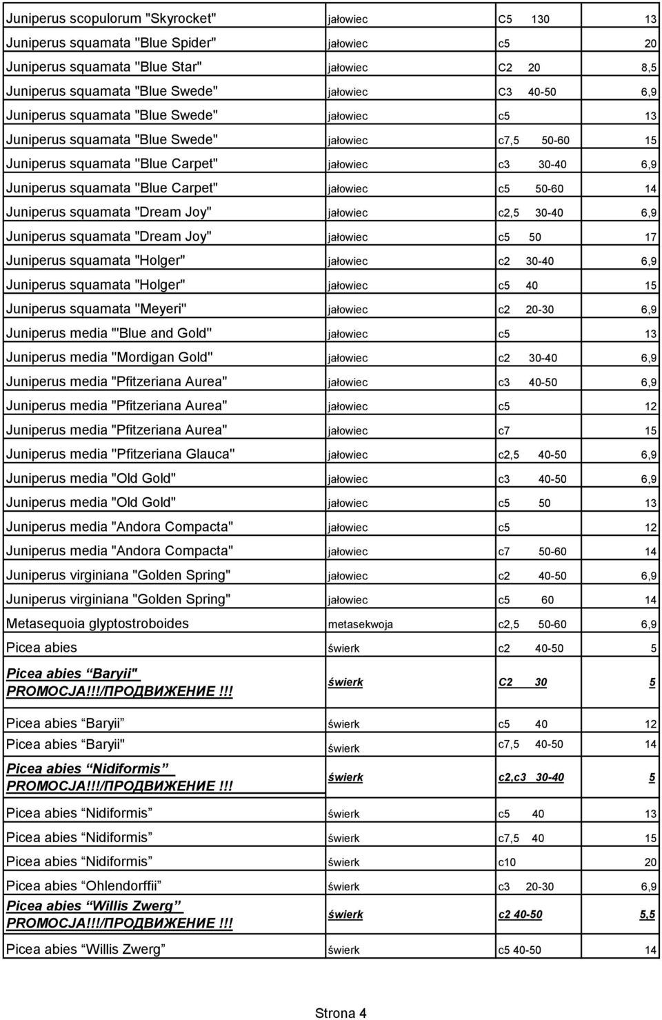 Carpet" jałowiec c5 50-60 14 Juniperus squamata "Dream Joy" jałowiec c2,5 30-40 6,9 Juniperus squamata "Dream Joy" jałowiec c5 50 17 Juniperus squamata "Holger" jałowiec c2 30-40 6,9 Juniperus