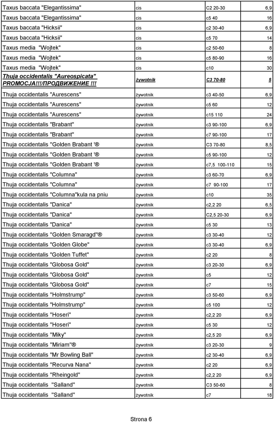 occidentalis "Aurescens" żywotnik c5 60 12 Thuja occidentalis "Aurescens" żywotnik c15 110 24 Thuja occidentalis "Brabant" żywotnik c3 90-100 6,9 Thuja occidentalis "Brabant" żywotnik c7 90-100 17