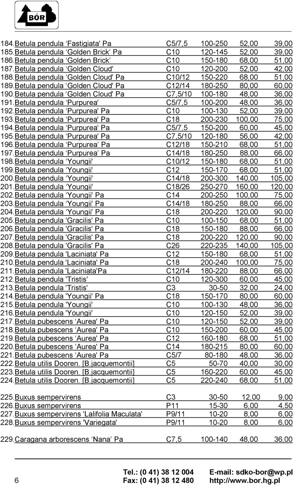 Betula pendula Golden Cloud' Pa C7,5/10 100-180 48,00 36,00 191.Betula pendula Purpurea' C5/7,5 100-200 48,00 36,00 192.Betula pendula Purpurea' Pa C10 100-130 52,00 39,00 193.