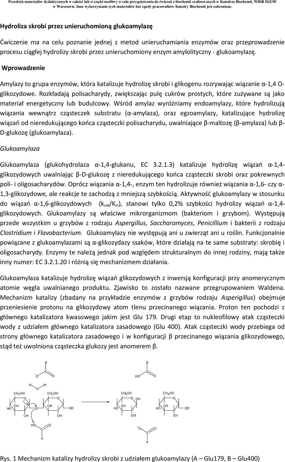 Rozkładają polisacharydy, zwiększając pulę cukrów prostych, które zużywane są jako materiał energetyczny lub budulcowy.