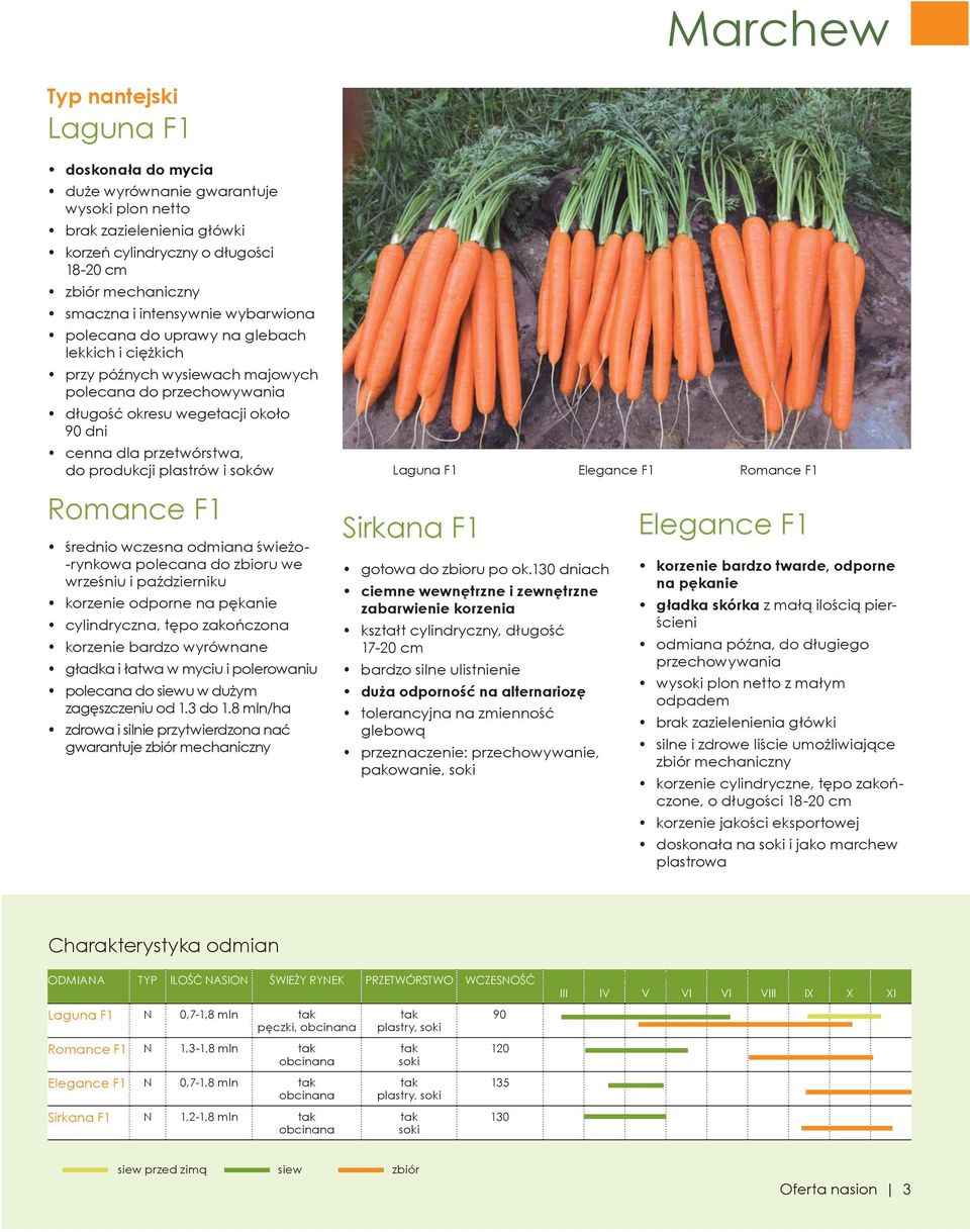 produkcji plastrów i soków Romance F1 średnio wczesna odmiana świeżo- -rynkowa polecana do zbioru we wrześniu i październiku korzenie odporne na pękanie cylindryczna, tępo zakończona korzenie bardzo