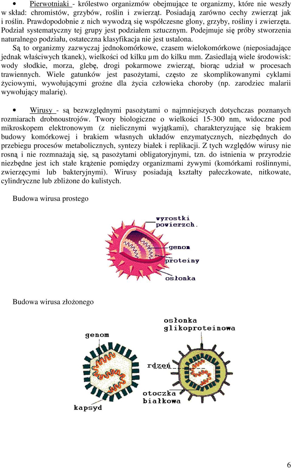 Podejmuje się próby stworzenia naturalnego podziału, ostateczna klasyfikacja nie jest ustalona.