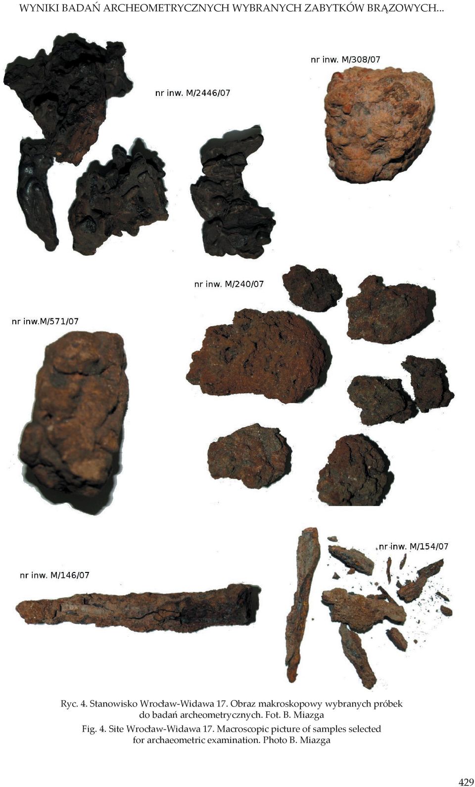 Obraz makroskopowy wybranych próbek do badań archeometrycznych. Fot. B.