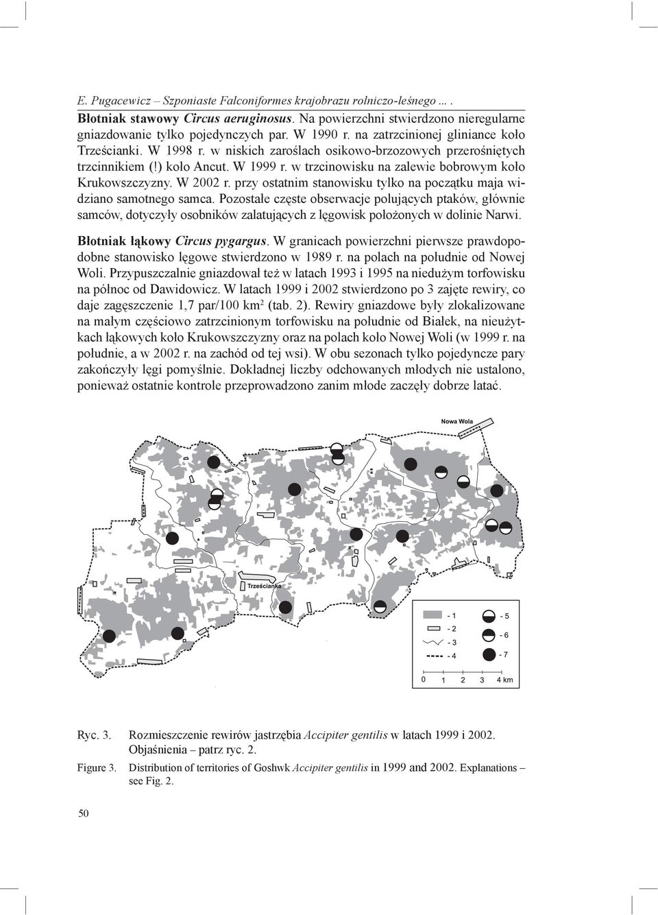 w trzcinowisku na zalewie bobrowym koło Krukowszczyzny. W 2002 r. przy ostatnim stanowisku tylko na początku maja widziano samotnego samca.