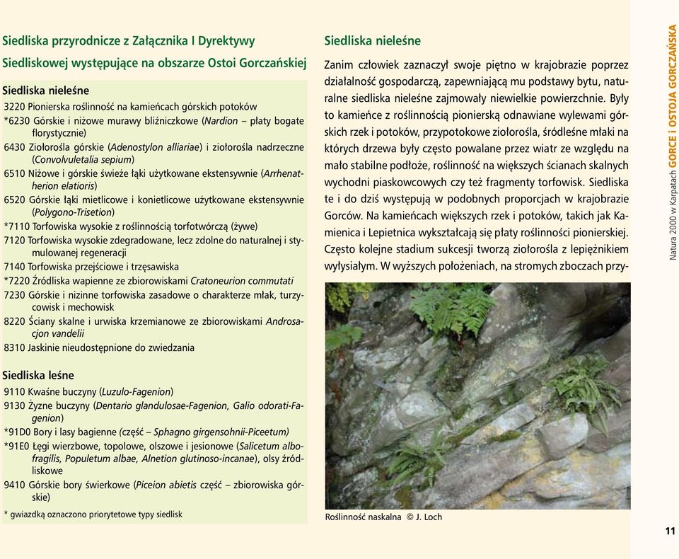 użytkowane ekstensywnie (Arrhenatherion elatioris) 6520 Górskie łąki mietlicowe i konietlicowe użytkowane ekstensywnie (Polygono-Trisetion) *7110 Torfowiska wysokie z roślinnością torfotwórczą (żywe)