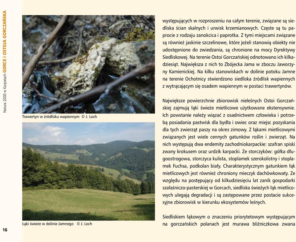 Z tymi miejscami związane są również jaskinie szczelinowe, które jeżeli stanowią obiekty nie udostępnione do zwiedzania, są chronione na mocy Dyrektywy Siedliskowej.