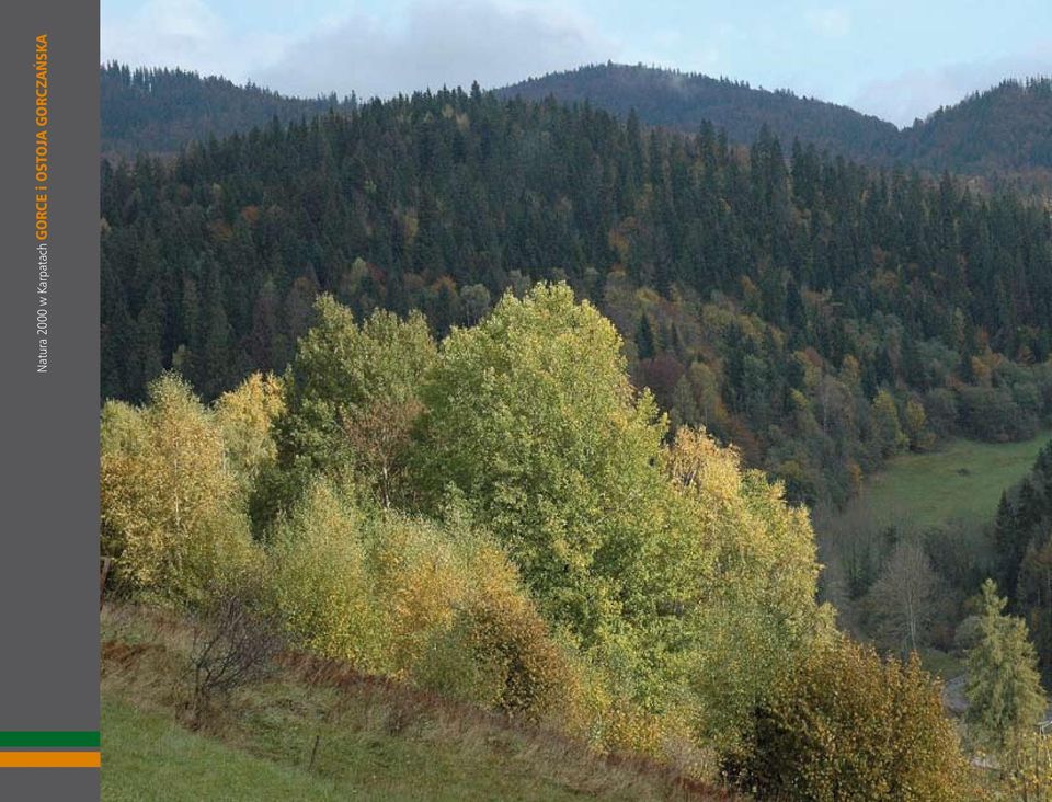 GORCE i