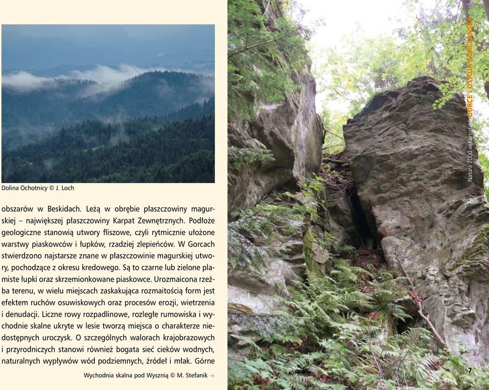 W Gorcach stwierdzono najstarsze znane w płaszczowinie magurskiej utwory, pochodzące z okresu kredowego. Są to czarne lub zielone plamiste łupki oraz skrzemionkowane piaskowce.
