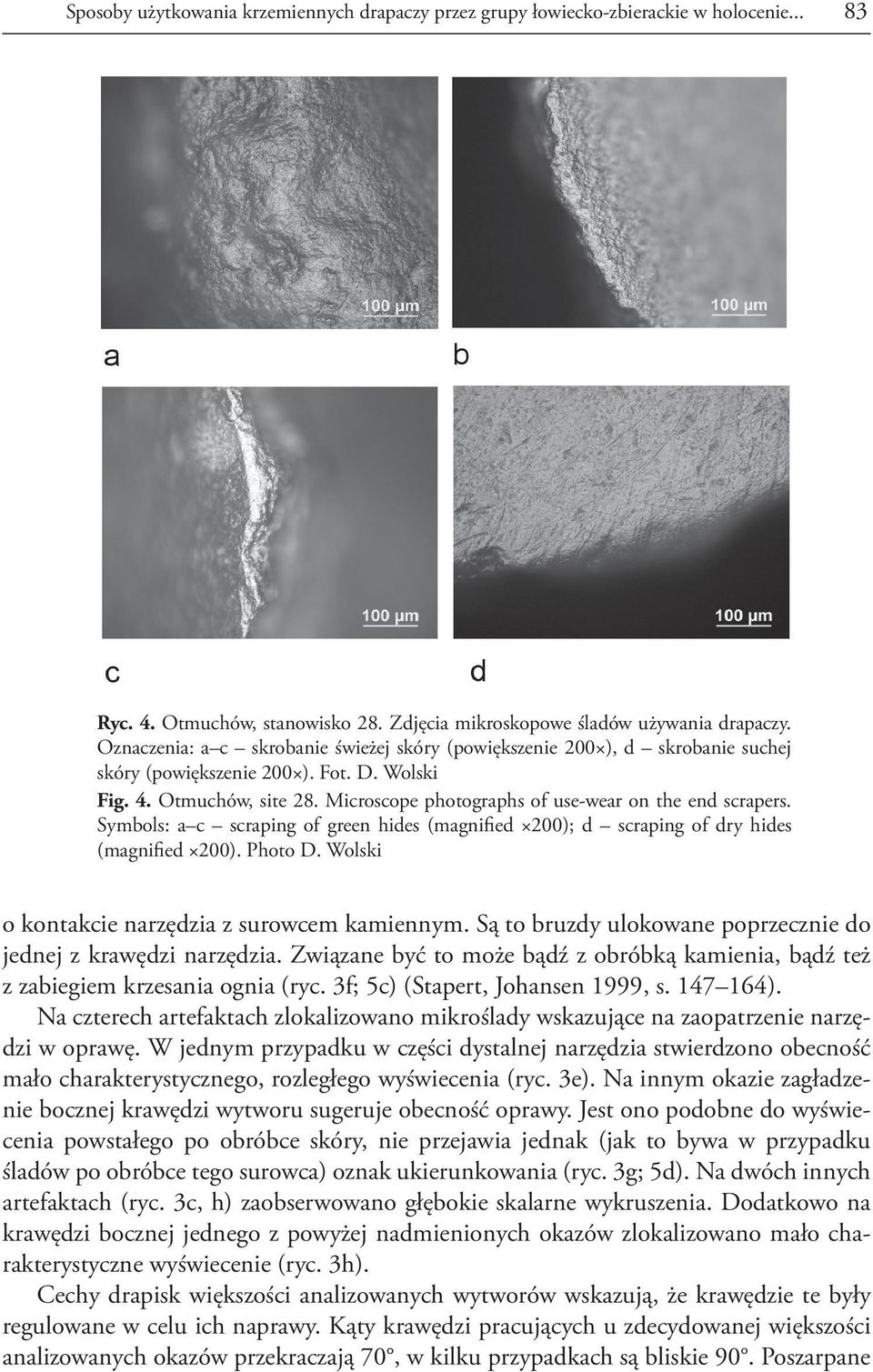 Microscope photographs of use-wear on the end scrapers. Symbols: a c scraping of green hides (magnified 200); d scraping of dry hides (magnified 200). Photo D.