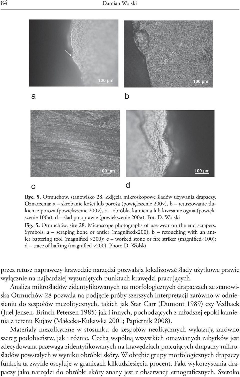 (powiększenie 200 ). Fot. D. Wolski Fig. 5. Otmuchów, site 28. Microscope photographs of use-wear on the end scrapers.