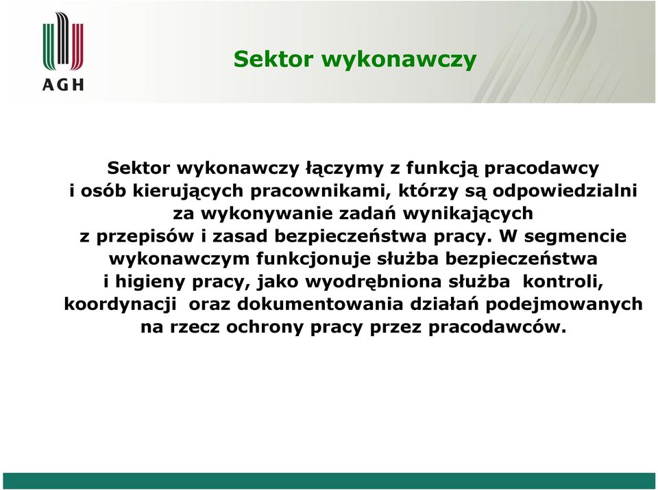 W segmencie wykonawczym funkcjonuje służba bezpieczeństwa i higieny pracy, jako wyodrębniona służba