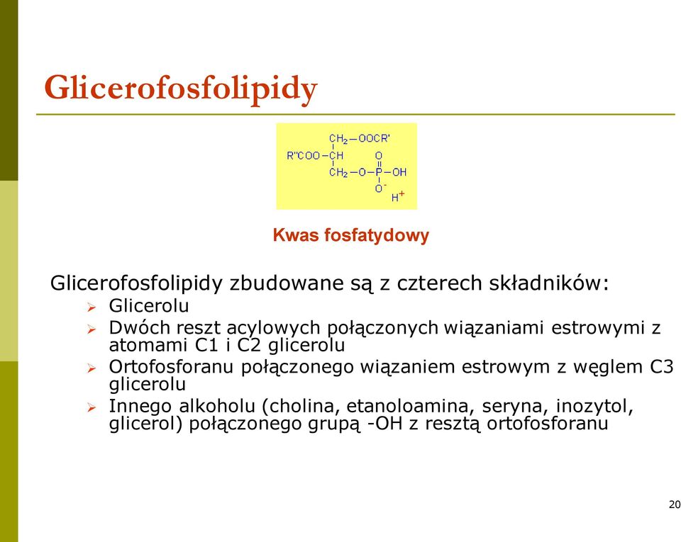 glicerolu Ortofosforanu połączonego wiązaniem estrowym z węglem C3 glicerolu Innego