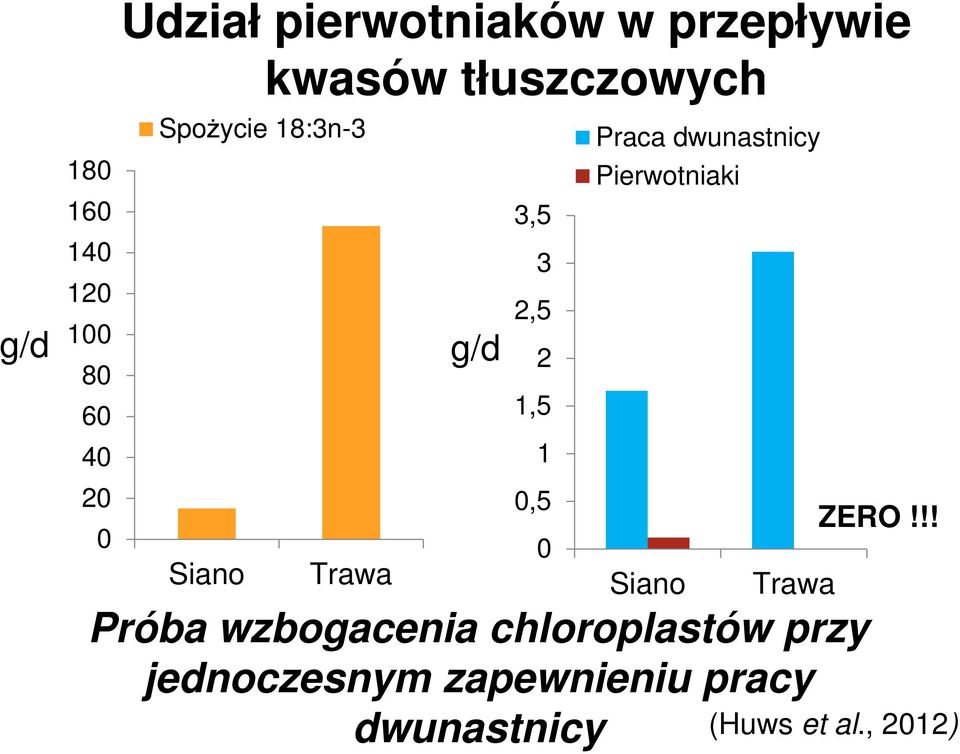 0 Praca dwunastnicy Pierwotniaki Siano Trawa ZERO!