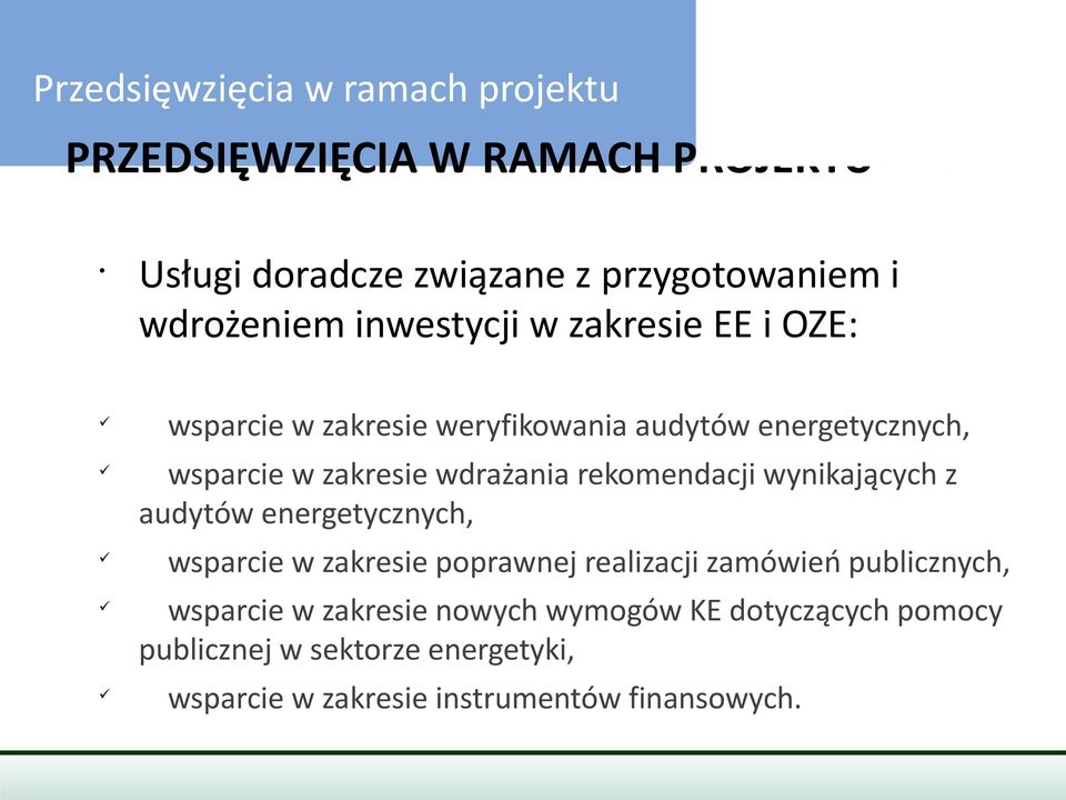 rekomendacji wynikających z audytów energetycznych, wsparcie w zakresie poprawnej realizacji zamówień publicznych, wsparcie