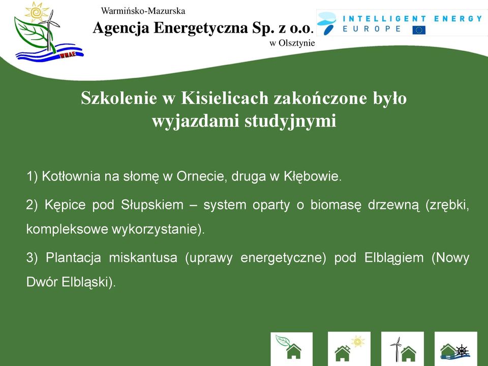 2) Kępice pod Słupskiem system oparty o biomasę drzewną (zrębki,