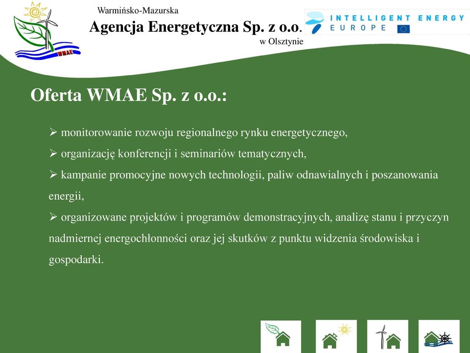 seminariów tematycznych, kampanie promocyjne nowych technologii, paliw odnawialnych i