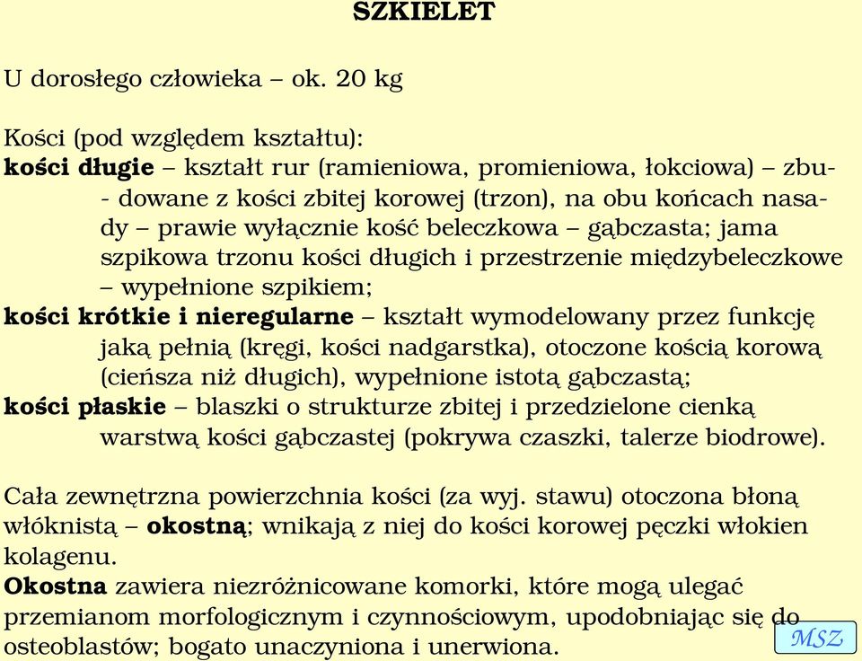 beleczkowa gąbczasta; jama szpikowa trzonu kości długich i przestrzenie międzybeleczkowe wypełnione szpikiem; kości krótkie i nieregularne kształt wymodelowany przez funkcję jaką pełnią (kręgi, kości