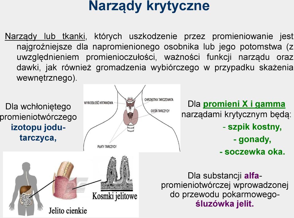 przypadku skażenia wewnętrznego).