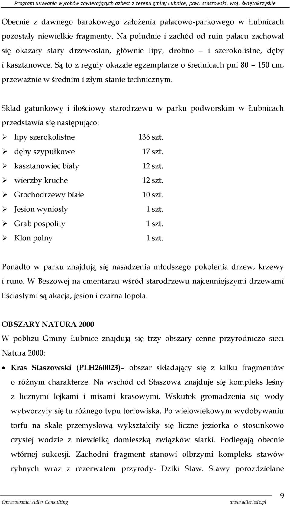 Są to z reguły okazałe egzemplarze o średnicach pni 80 150 cm, przeważnie w średnim i złym stanie technicznym.