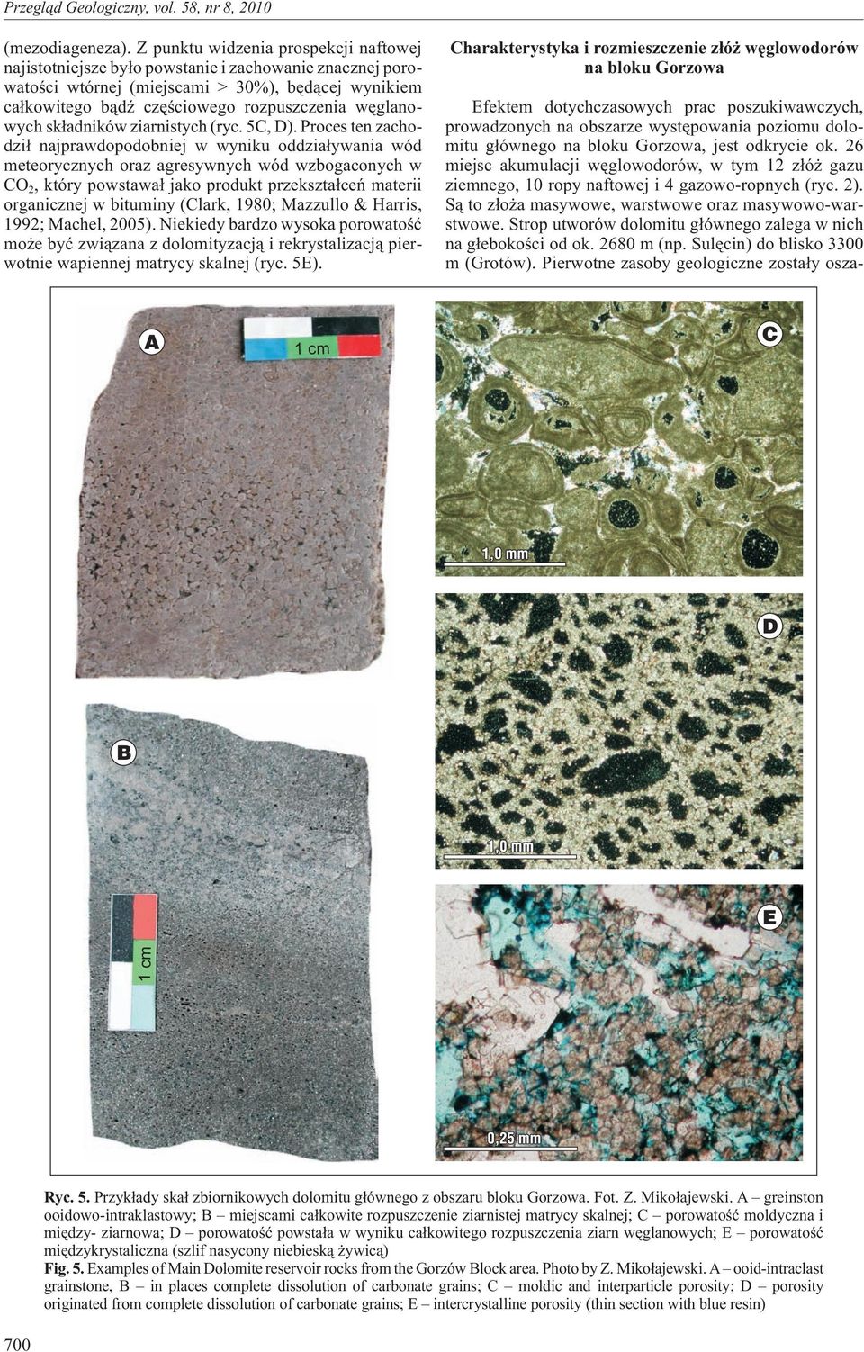 wêglanowych sk³adników ziarnistych (ryc. 5C, D).