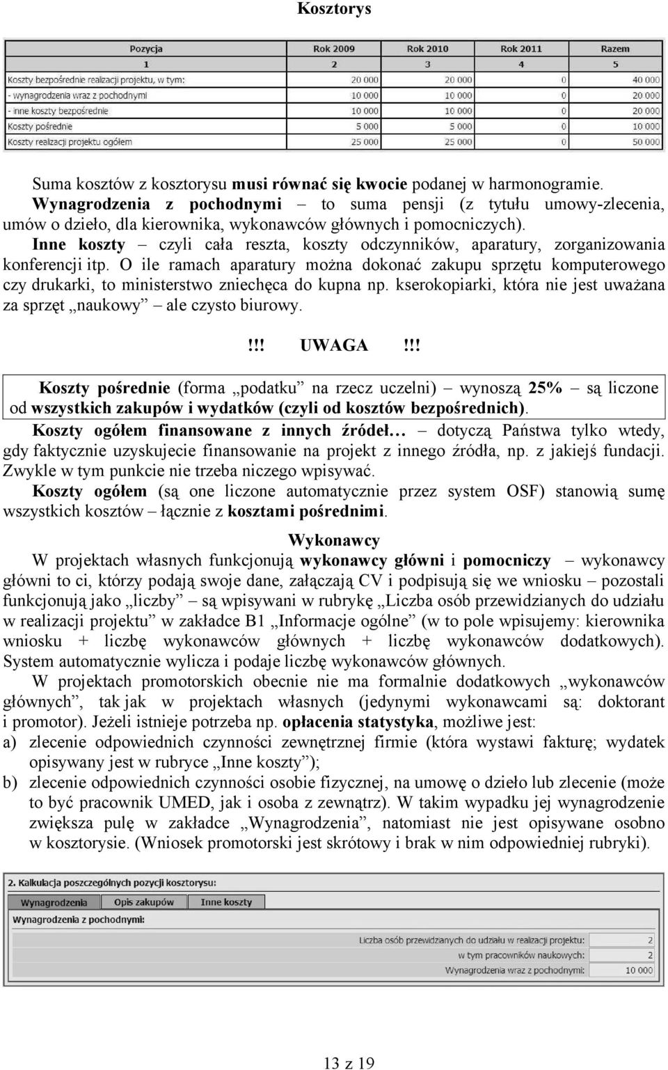 Inne koszty czyli cała reszta, koszty odczynników, aparatury, zorganizowania konferencji itp.