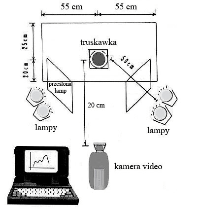 Zastosowanie komputerowego systemu... Źródło: opracowanie własne autora Rys. 1.