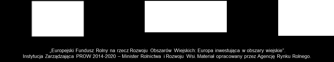 Złożenie wniosku o płatność z załącznikami dla operacji lub jej etapu, zgodnie z umową o przyznaniu pomocy do Centrali ARR Rozpatrzenie przez