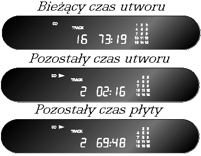 Zaawansowane funkcje CD21 W tym rozdziale opisane są bardziej zaawansowane funkcje CD21.