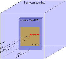 weryfikacji planów terapeutycznych podczas standardowej procedury zapewnienia jakości terapii protonowej.