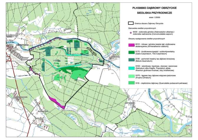 PLANY ZADAŃ OCHRONNYCH Źródło danych baza Lasów Państwowych z powszechnej inwentaryzacji gatunków i siedlisk Natura 2000 z lat 2006-2007 jakość danych weryfikowana jest w trakcie lustracji terenowej