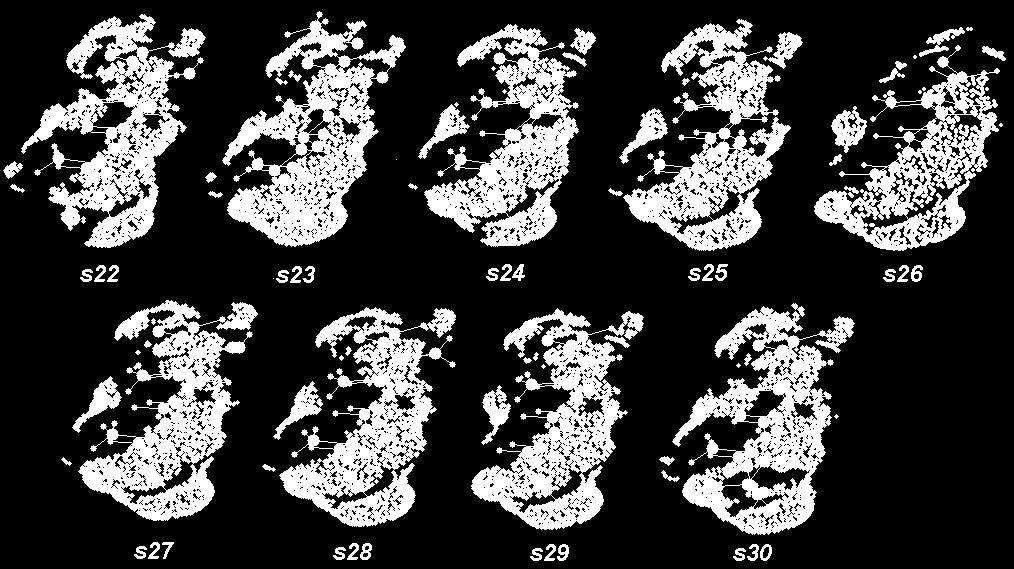 7 Wizualizacja modeli s-comsa Rysunek 7.