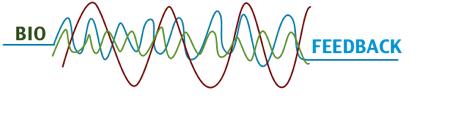 EEG Biofeedback Metoda EEG-Biofeedback wykorzystuje