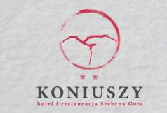 Baza hotelowa: 1. Hotel Koniuszy ul. Kolejowa 13 tel: 74 81 80 100 e-mail: srebrnagora@hotelkoniuszy.pl www.hotelkoniuszy.pl/ 2.