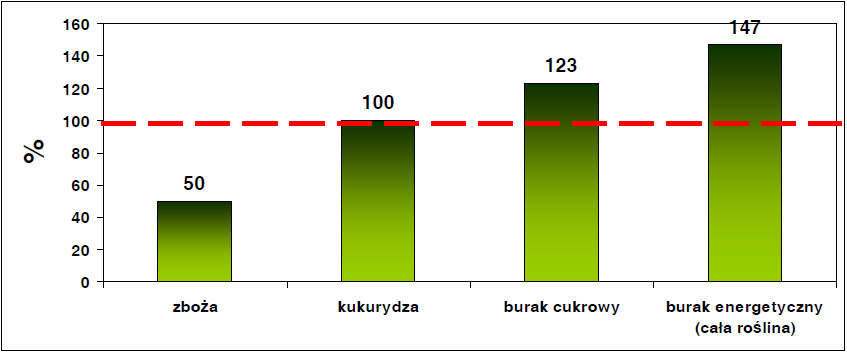 Burak energetyczny - wydajność produkcji energii z