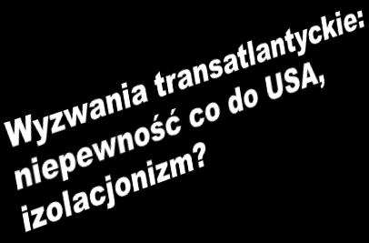 ŚRODOWISKO BEZPIECZEŃSTWA NATO: Ogniska wyzwań i