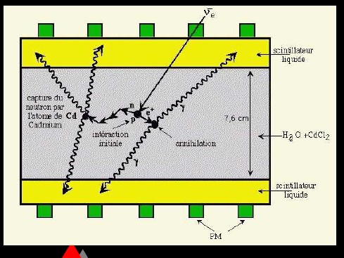 Odkrycie neutrina elektronowego