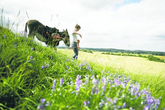 Uckermark (Brandenburgia) Projekt