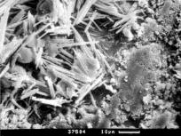 Jak się produkuje cement dehydroksylacja rozkład glin rozkład wapieni powstanie C 2S powstanie faza ciekła powstanie C 3S Wiązanie cementu bezpośrednia reakcja poszczególnych składników cementu z