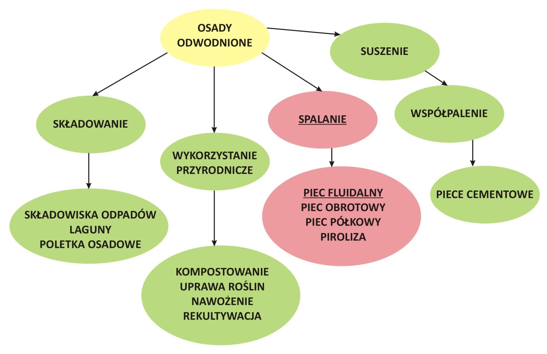 Podstawowe kierunki