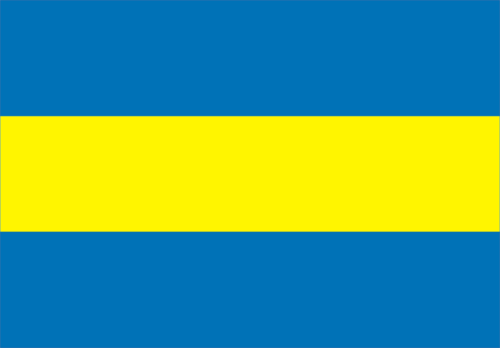 Wzór nr 2 3. Wzór flagi został ustanowiony uchwałą Rady Miejskiej w Tuchowie Nr X/118/95 z dnia 8 czerwca 1995 r. 4.