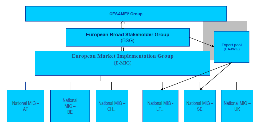 Standardy rynkowe Market Standards for Corporate Actions Processing Organizacja procesu implementacji EuropeanIssuers, ECSDA, EACH FESE