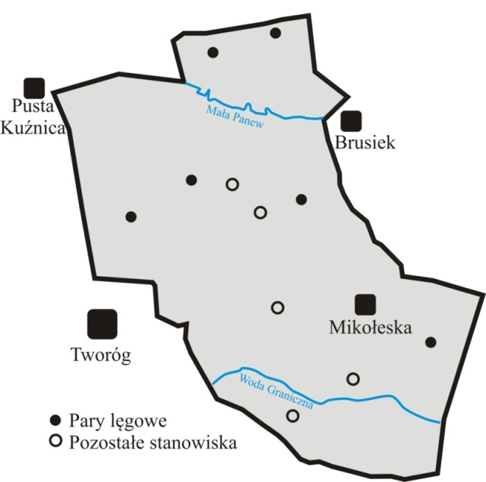 60 K. Belik 2003, Wilk i in. 2010). W ostatnich latach obserwuje się w Polsce wzrost liczebności sóweczki (Mikusek 2001b).