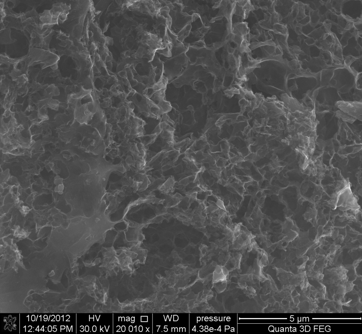 Rys. 2. Obraz SEM nanocząstek CaCO 3. Po skarbonizaowaniu próby chitozanowej zawierającej nanocząstki CaCO 3, matryca nieorganiczna pozostaje wbudowana w matrycę węglową.