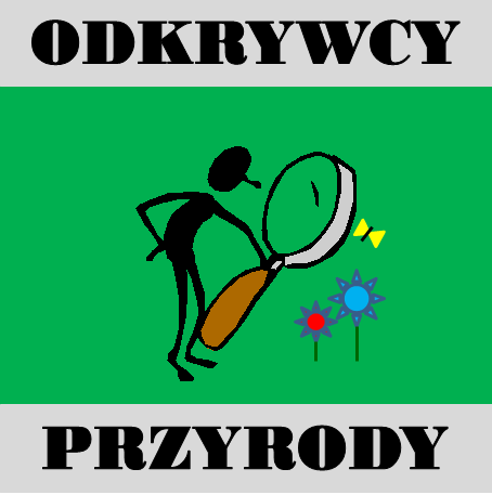 WYPOSAŻENIE