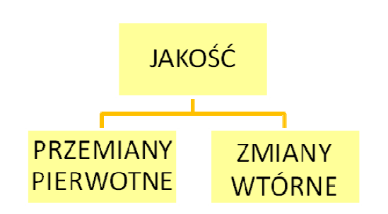 1.Wstęp Wspólną cechą wszystkich produktów spożywczych jest ich nietrwałość, czyli podatność na naturalne, ciągłe i głównie nieodwracalne przemiany fizyczne, chemiczne, biochemiczne i